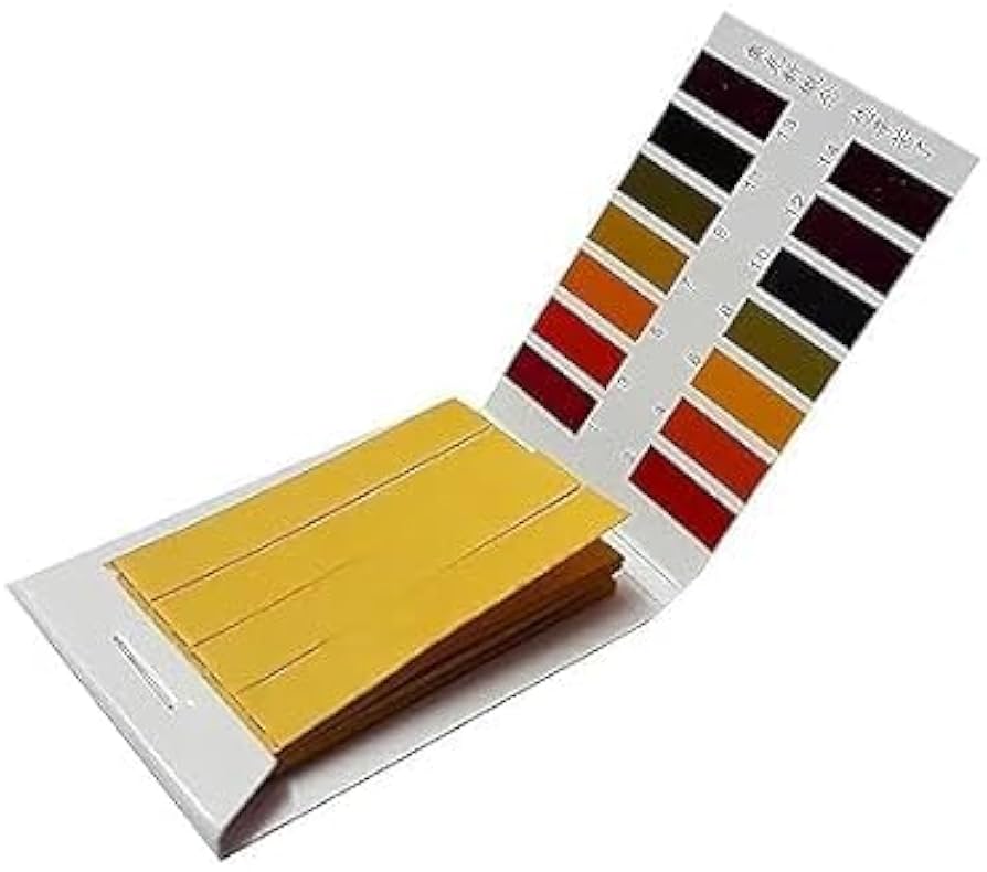 IMG_7844 PH paper - Image 1